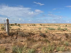 TBD County Rd 412 - Photo 2