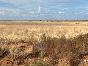 TBD County Rd 412 - Photo 3