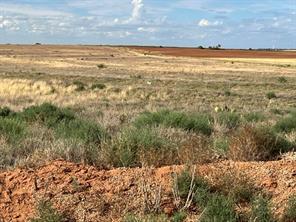 TBD County Rd 412 - Photo 4