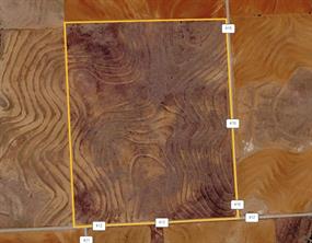 TBD County Rd 412 - Photo 5