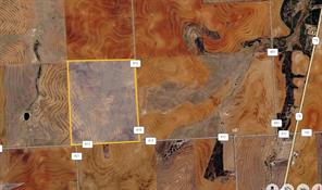 TBD County Rd 412 - Photo 6