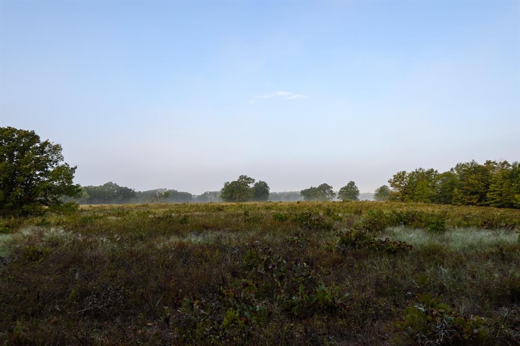 TBD FM 1804 - Photo 25