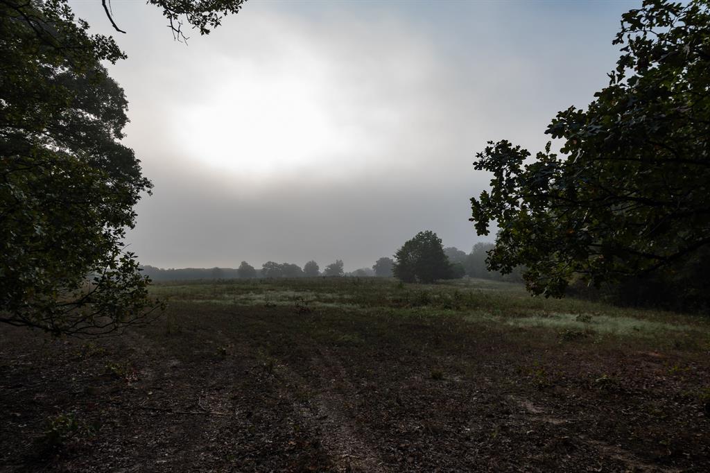 TBD FM 1804 - Photo 27