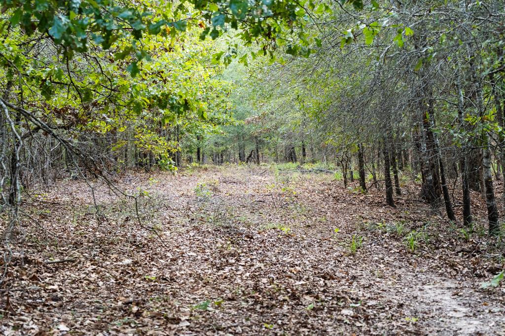 TBD FM 1804 - Photo 29
