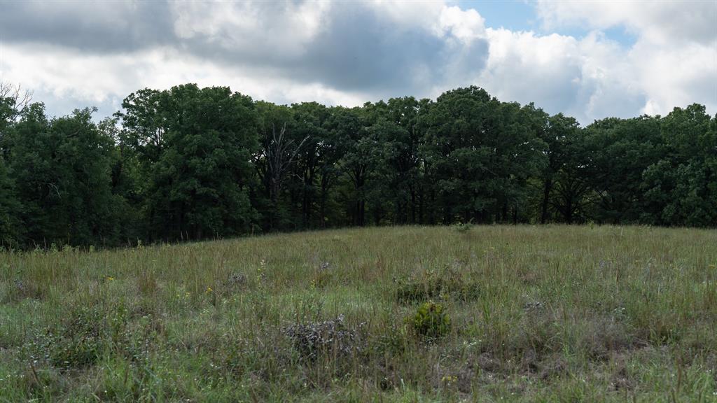 TBD FM 1804 - Photo 35