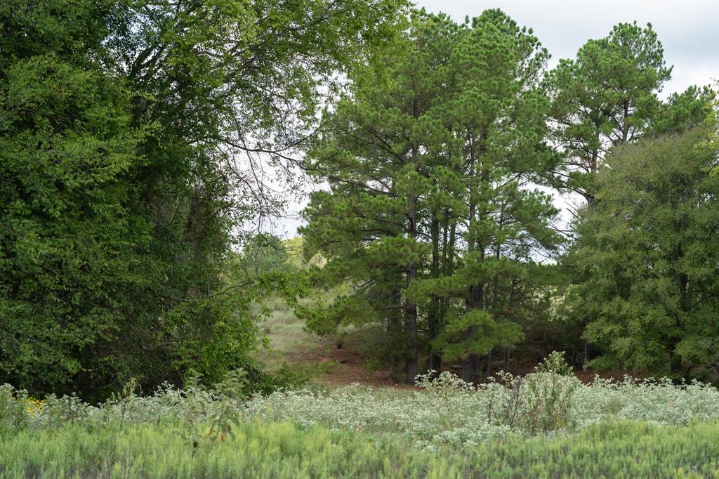 TBD FM 1804 - Photo 38