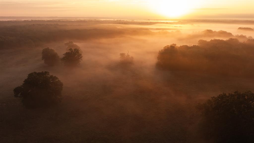 TBD FM 1804 - Photo 9