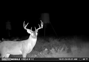 TBD Comanche Hills Drive - Photo 11