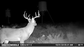 TBD Comanche Hills Drive - Photo 12