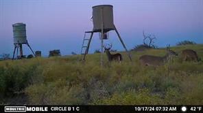 TBD Comanche Hills Drive - Photo 15