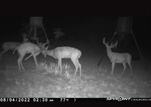 TBD Comanche Hills Drive - Photo 16