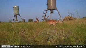 TBD Comanche Hills Drive - Photo 18