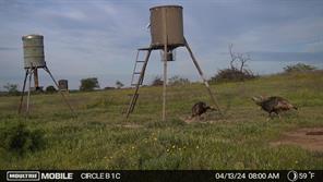 TBD Comanche Hills Drive - Photo 19