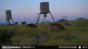 TBD Comanche Hills Drive - Photo 23