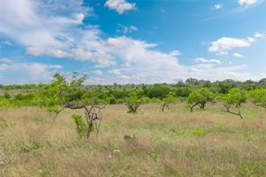 TBD Comanche Hills Drive - Photo 8