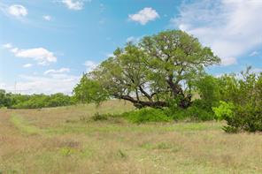 TBD Comanche Hills Drive - Photo 9