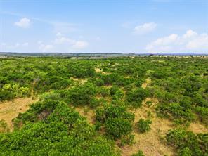 100 Acres State Highway 16 - Photo 13