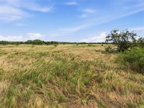 100 Acres State Highway 16 - Photo 21