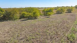 3612 Lucky Pepper Drive - Photo 11