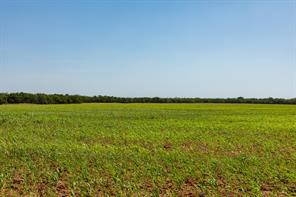 9000 Private Road 496 - Photo 14