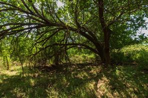 9000 Private Road 496 - Photo 17