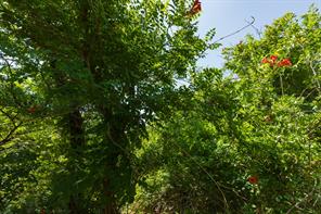 9000 Private Road 496 - Photo 19