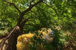9000 Private Road 496 - Photo 21