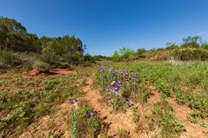 9000 Private Road 496 - Photo 22