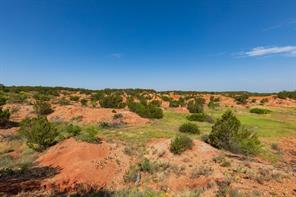 9000 Private Road 496 - Photo 24