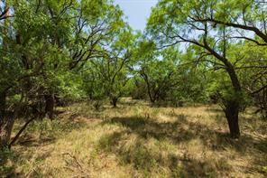 9000 Private Road 496 - Photo 28
