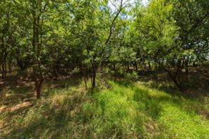 9000 Private Road 496 - Photo 29