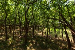 9000 Private Road 496 - Photo 3