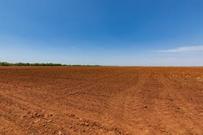 9000 Private Road 496 - Photo 33
