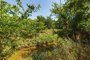 9000 Private Road 496 - Photo 35