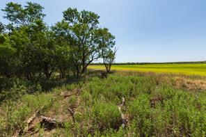 9000 Private Road 496 - Photo 39