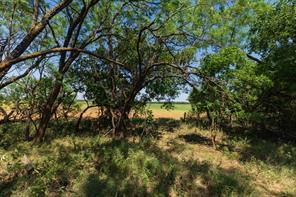 9000 Private Road 496 - Photo 40