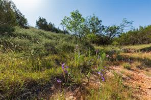 9000 Private Road 496 - Photo 6