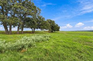 3688 N Fm 1655 - Photo 10