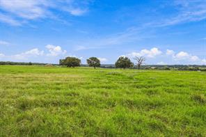 3688 N Fm 1655 - Photo 11