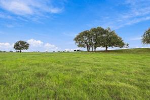 3688 N Fm 1655 - Photo 14