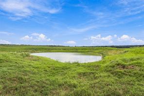 3688 N Fm 1655 - Photo 16