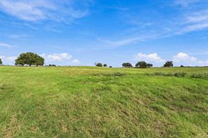 3688 N Fm 1655 - Photo 21