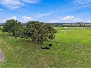 3688 N Fm 1655 - Photo 3
