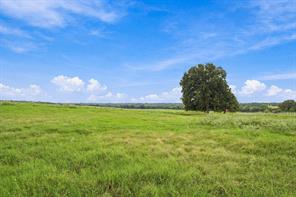 3688 N Fm 1655 - Photo 31