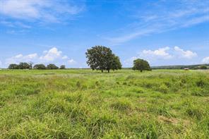 3688 N Fm 1655 - Photo 33
