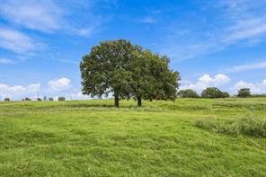 3688 N Fm 1655 - Photo 34