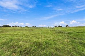 3688 N Fm 1655 - Photo 35