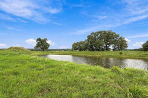 3688 N Fm 1655 - Photo 36