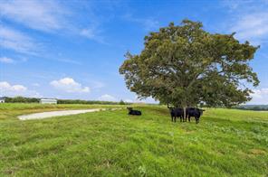 3688 N Fm 1655 - Photo 37