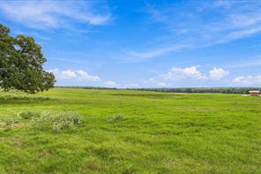 3688 N Fm 1655 - Photo 6